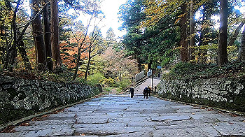 gx011165.mp4_snapshot_00.37_thumb.jpg