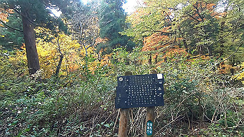 gx011166.mp4_snapshot_00.00_thumb.jpg