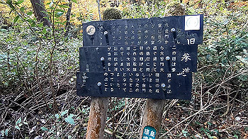 gx011166.mp4_snapshot_00.06_thumb.jpg