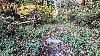 gx011166.mp4_snapshot_00.17_thumb.jpg
