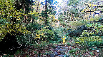gx011166.mp4_snapshot_00.36_thumb.jpg