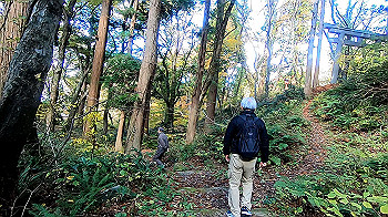 gx011167.mp4_snapshot_00.00_thumb.jpg