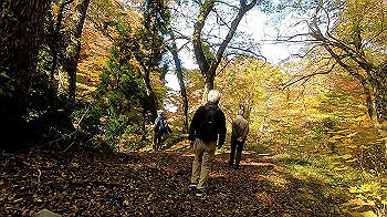 gx011167.mp4_snapshot_00.39_thumb.jpg