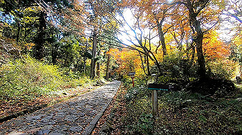 gx011168.mp4_snapshot_00.43_thumb.jpg
