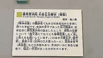 20201108_030552163_ios_thumb.jpg
