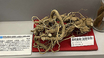 20201108_030708576_ios_thumb.jpg