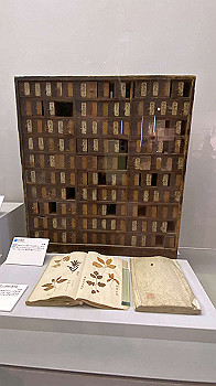 20201108_030746176_ios_thumb.jpg