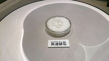 20201108_030958610_ios_thumb.jpg