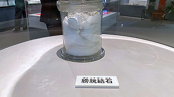20201108_031006547_ios_thumb.jpg
