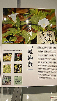 20201108_031133445_ios_thumb.jpg