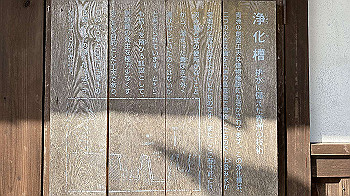 20201108_044404136_ios_thumb.jpg