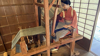 20201108_044956155_ios_thumb.jpg
