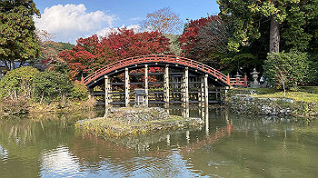 20201108_053954523_ios_thumb.jpg