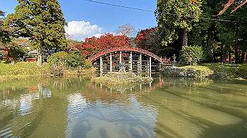 20201108_054012238_ios_thumb.jpg