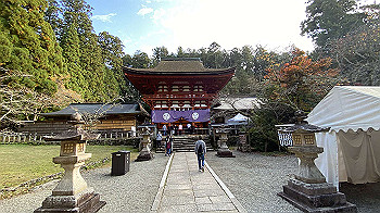 20201108_054726480_ios_thumb.jpg