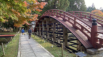 20201108_060652013_ios_thumb.jpg