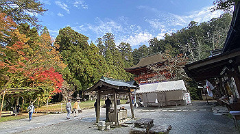20201108_060922182_ios_thumb.jpg