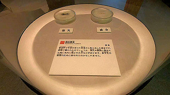 gx011173.mp4_snapshot_00.01_thumb.jpg