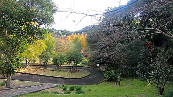 gx011175.mp4_snapshot_00.01_thumb.jpg