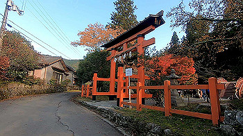 gx011182.mp4_snapshot_00.00_thumb.jpg