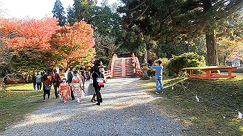 gx011183.mp4_snapshot_00.00_thumb.jpg