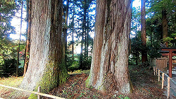 gx011184.mp4_snapshot_00.01_thumb.jpg