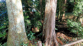 gx011185.mp4_snapshot_00.00_thumb.jpg