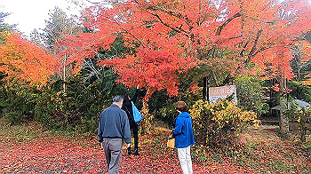 gx011186.mp4_snapshot_00.00_thumb.jpg