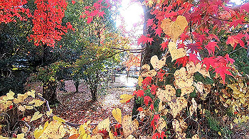 gx011187.mp4_snapshot_00.02_thumb.jpg