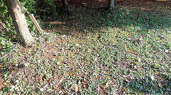 gx011188.mp4_snapshot_00.02_thumb.jpg