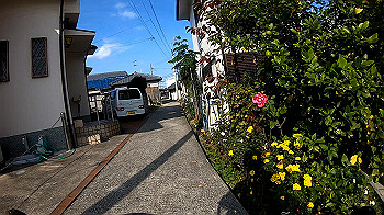 gh011195.mp4_snapshot_00.04_thumb.jpg