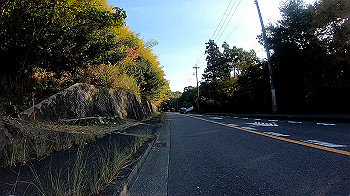 gh011202.mp4_snapshot_00.41_thumb.jpg