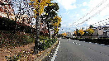 gx011193.mp4_snapshot_01.27_thumb.jpg