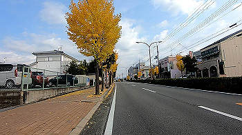 gx011193.mp4_snapshot_02.06_thumb.jpg