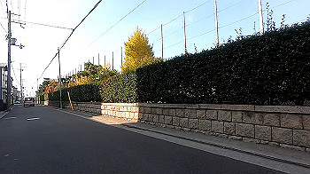gx011198.mp4_snapshot_01.03_thumb.jpg