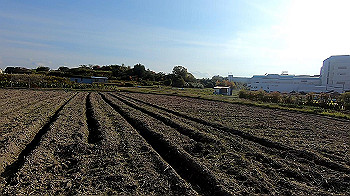 gx011198.mp4_snapshot_03.33_thumb.jpg