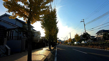 gx011207.mp4_snapshot_14.36_thumb.jpg