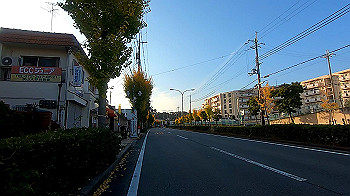 gx011207.mp4_snapshot_16.54_thumb.jpg