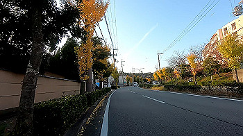 gx011207.mp4_snapshot_17.16_thumb.jpg