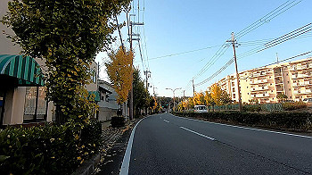 gx011207.mp4_snapshot_17.28_thumb.jpg