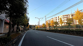 gx011207.mp4_snapshot_17.33_thumb.jpg