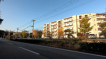gx011207.mp4_snapshot_17.40_thumb.jpg