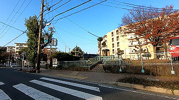 gx011207.mp4_snapshot_17.57_thumb.jpg