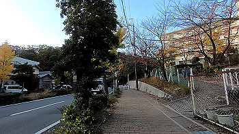gx011208.mp4_snapshot_00.17_thumb.jpg