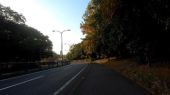 gx011208.mp4_snapshot_01.11_thumb.jpg