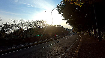 gx011208.mp4_snapshot_01.20_thumb.jpg