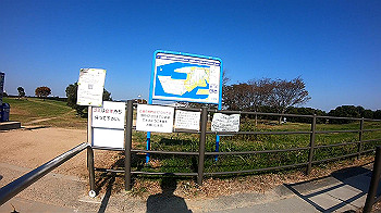 gh011213.mp4_snapshot_00.13_thumb.jpg