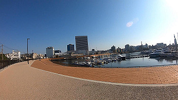 gh011222.mp4_snapshot_00.02_thumb.jpg