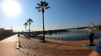 gh011222.mp4_snapshot_00.07_thumb.jpg
