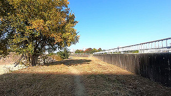 gx011209.mp4_snapshot_00.55_thumb.jpg